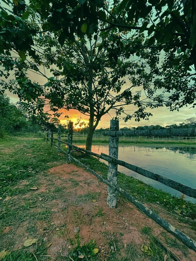 Agastya Lake View Coorg マディケーリ エクステリア 写真